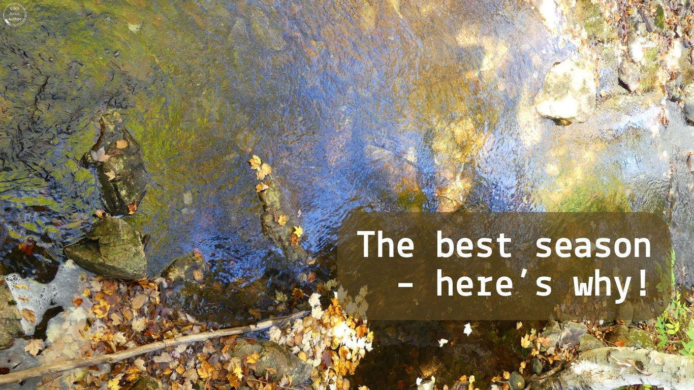 The best season, and here’s why!